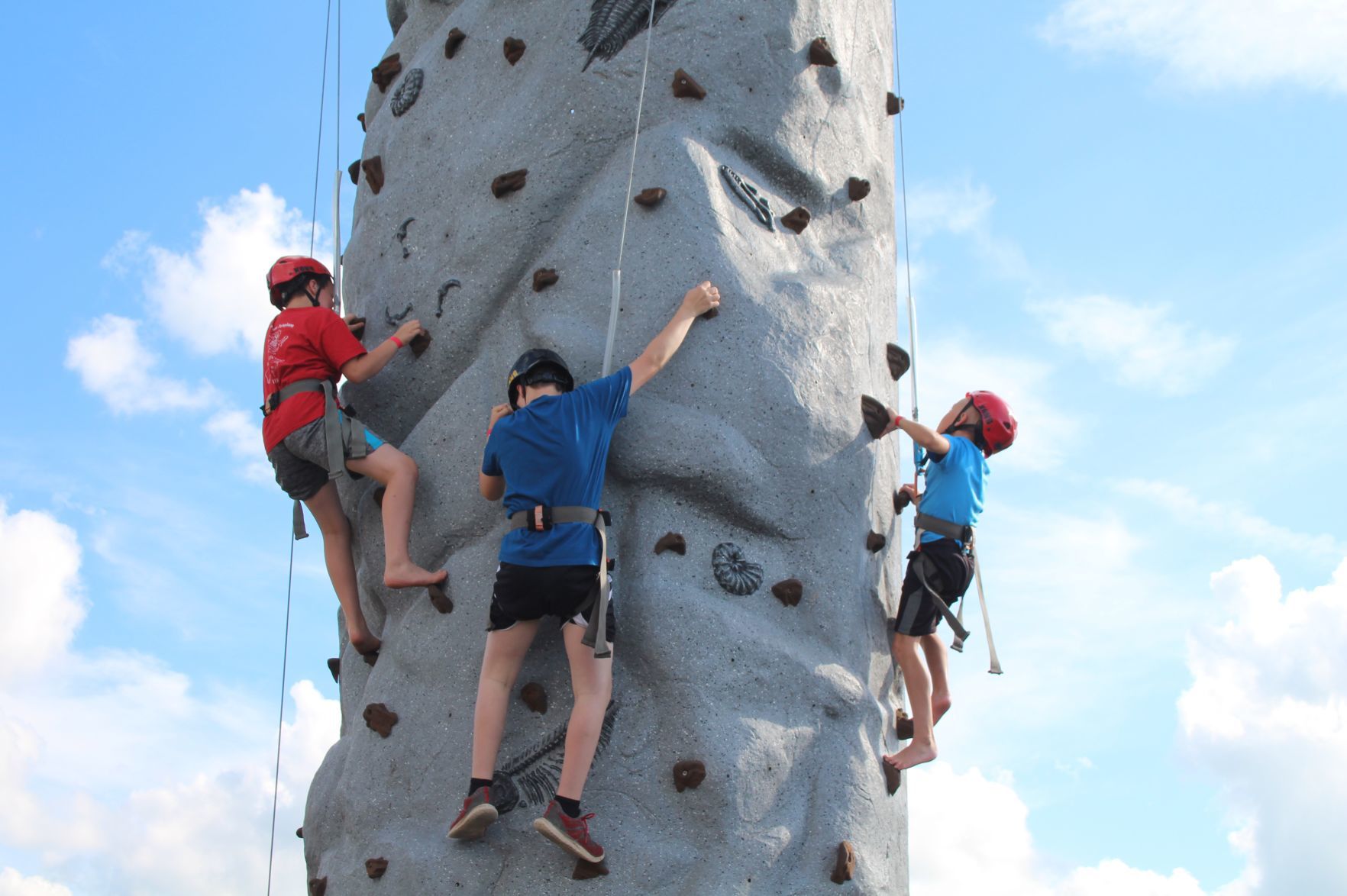 Young climbers